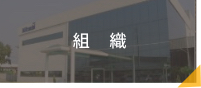組織